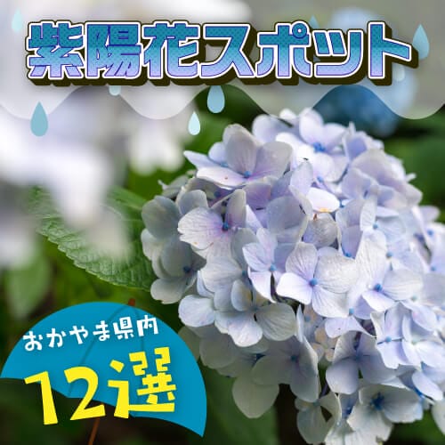 家族や恋人と楽しむ岡山県の有名！紫陽花スポット12選